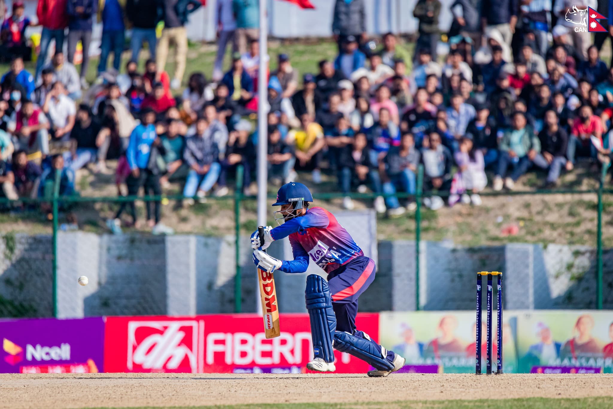 आयरल्यान्डविरुद्ध आरिफको अर्धशतक