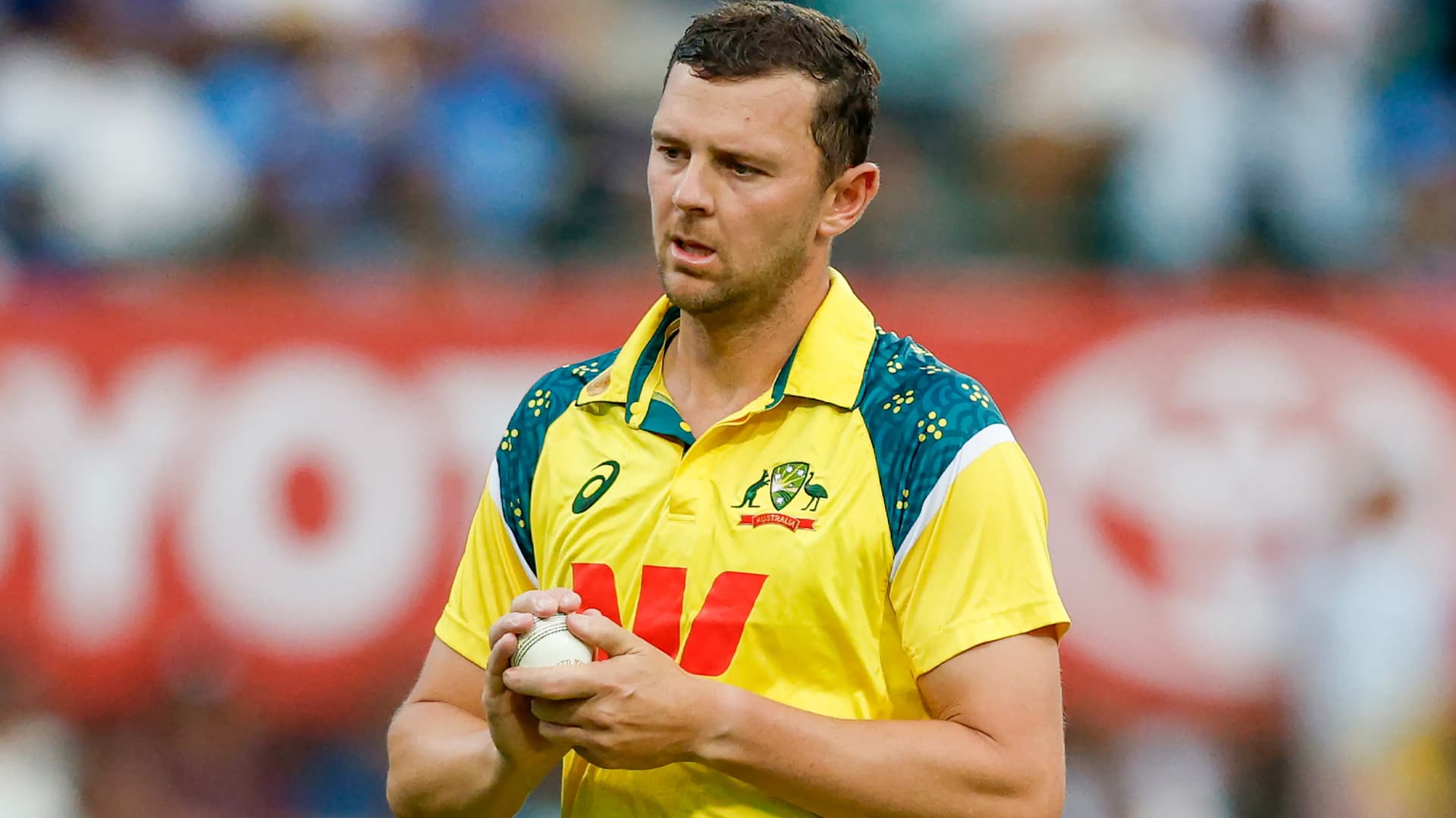 विश्वकपबाट बाहिरिए हेजलउड