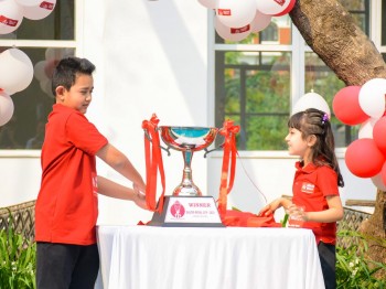 बलियो नेपाल कप क्रिकेट हुने